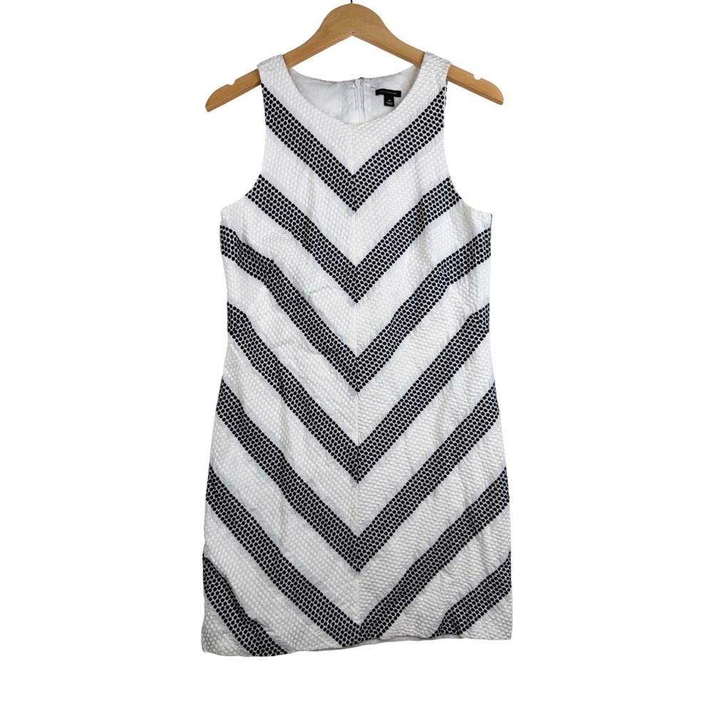 Ann Taylor Embroidered Dot Chevron Sleeveless Shift Dress size 10 Blue/White
